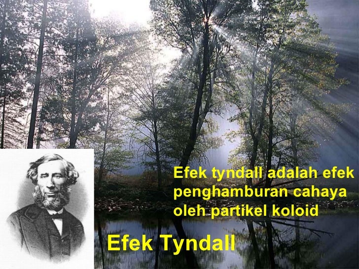 Arin ppt sistem koloid