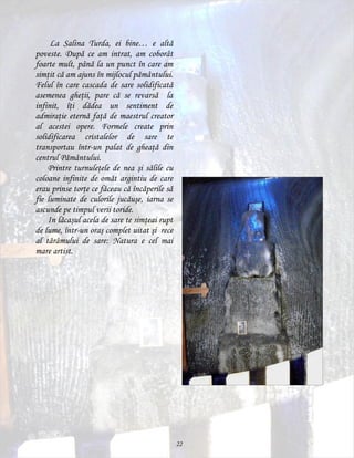 La Salina Turda, ei bine… e altă
poveste. După ce am intrat, am coborât
foarte mult, până la un punct în care am
simţit că am ajuns în mijlocul pământului.
Felul în care cascada de sare solidificată
asemenea gheţii, pare că se revarsă la
infinit, îţi dădea un sentiment de
admiraţie eternă faţă de maestrul creator
al acestei opere. Formele create prin
solidificarea cristalelor de sare te
transportau într-un palat de gheaţă din
centrul Pământului.
Printre turnuleţele de nea şi sălile cu
coloane infinite de omăt argintiu de care
erau prinse torţe ce făceau că încăperile să
fie luminate de culorile jucăuşe, iarna se
ascunde pe timpul verii toride.
In lăcaşul acela de sare te simţeai rupt
de lume, într-un oraş complet uitat şi rece
al tărâmului de sare: Natura e cel mai
mare artist.

22

 