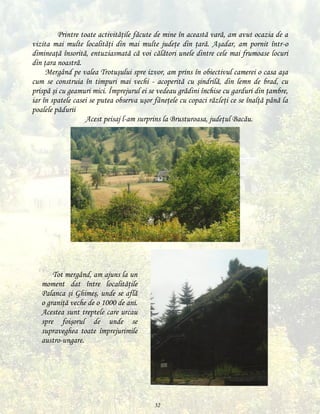 Printre toate activităţile făcute de mine în această vară, am avut ocazia de a
vizita mai multe localităţi din mai multe judeţe din ţară. Aşadar, am pornit într-o
dimineaţă însorită, entuziasmată că voi călători unele dintre cele mai frumoase locuri
din ţara noastră.
Mergând pe valea Trotuşului spre izvor, am prins în obiectivul camerei o casa aşa
cum se construia în timpuri mai vechi - acoperită cu şindrilă, din lemn de brad, cu
prispă şi cu geamuri mici. Împrejurul ei se vedeau grădini închise cu garduri din ţambre,
iar în spatele casei se putea observa uşor fâneţele cu copaci răzleţi ce se înalţă până la
poalele pădurii
Acest peisaj l-am surprins la Brusturoasa, judeţul Bacău.
mm

Tot mergând, am ajuns la un
moment dat între localităţile
Palanca şi Ghimeş, unde se află
o graniţă veche de o 1000 de ani.
Acestea sunt treptele care urcau
spre foişorul de unde se
supraveghea toate împrejurimile
austro-ungare.

32

 