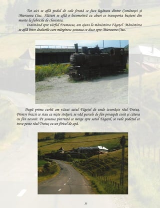 Tot aici se află podul de cale ferată ce face legătura dintre Comăneşti şi
Miercurea Ciuc. Alături se află o locomotivă cu aburi ce transporta buşteni din
munte la fabricile de cherestea.
Inaintând spre vârful Frumoasa, am ajuns la mănăstirea Făgeţel. Mănăstirea
se află între dealurile care mărginesc şoseaua ce duce spre Miercurea Ciuc.

După prima curbă am văzut satul Făgeţel de unde izvorăşte râul Trotuş.
Printre brazii ce stau ca nişte străjeri, se văd parcele de fân proaspăt cosit şi câteva
cu fân necosit. Pe şoseaua pietruită ce merge spre satul Făgeţel, se vede podeţul ce
trece peste râul Trotuş cu un firicel de apă.

33

 