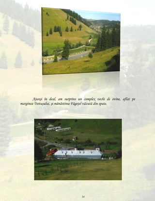 Ajunşi în deal, am surprins un complex vechi de ovine, aflat pe
marginea Trotuşului, şi mănăstirea Făgeţel văzută din spate.

34

 