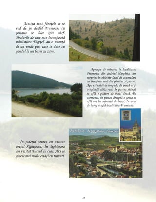 Acestea sunt fâneţele ce se
văd de pe dealul Frumoasa cu
şoseaua ce duce spre vârf.
Dealurile de care este înconjurată
mănăstirea Făgeţel, au o nuanţă
de un verde pur, care te duce cu
gândul la un basm cu zâne.

Aproape de intrarea în localitatea
Frumoasa din judeţul Harghita, am
surprins în obiectiv lacul de acumulare
cu baraj natural din pământ şi piatră.
Apa este atât de limpede, de parcă ar fi
o oglindă albăstruie. În partea stângă
se află o pădure de brazi deasă. De
asemenea, în partea dreaptă o şosea se
află tot înconjurată de brazi. În aval
de baraj se află localitatea Frumoasa.

În judeţul Mureş am vizitat
oraşul Sighişoara. În Sighişoara
am vizitat Turnul cu ceas. Aici se
găsesc mai multe cetăţi cu turnuri.

35

 