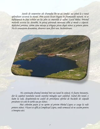 Sutele de serpentine ale drumului lin ne-au condus sus până la o nouă
splendoare ascunsă în munţi. Prin aceste locuri bogate în frumuseţile naturii, ni se
înfăţişează în faţa ochilor un lac plin cu smaralde şi safire: Lacul Bâlea. Privind
malurile acestui lac deosebit, în peisaj pătrunde mantaua albă şi moale a zăpezii.
Ridicând privirea, zărim zâne micuţe şi drăguţe pitite după stânci şi printre pietre.
Nu le cunoaştem denumirea, deoarece sunt flori rare, încântătoare.

Ne continuăm drumul intrând într-un tunel în stâncă. E foarte întuneric,
dar la capătul tunelului razele soarelui mângâie uşor asfaltul. Ieşind din tunel, o
luăm la vale, despărţindu-ne astfel de priveliştea oferită de bucăţile de zăpadă
presărate ici-colo în iarbă sau pe stânci.
Mai coborâm puţin şi ne oprim să privim Pârâul Capra ce curge la vale
printre stânci. Vizavi se află şi Complexul Capra, unde urmează să ne cazăm pentru
a înnopta aici.

7

 
