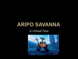 A virtual Tour
 