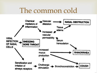 The common cold
 