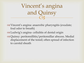 
 Vincent’s angina: anaerobic pharyngitis (exudate;
foul odor to breath)
 Ludwig’s angina- cellulitis of dental origin
 Quinsy: peritonsillitis/peritonsillar abscess. Medial
displacement of the tonsil; often spread of infection
to carotid sheath
Vincent’s angina
and Quinsy
 