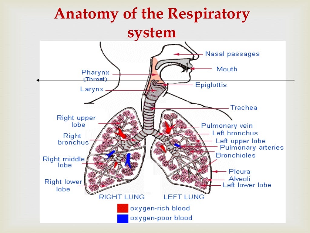acute respiratory tract infection