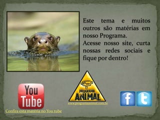Este tema e muitos
                                            outros são matérias em
                                            nosso Programa.
                                            Acesse nosso site, curta
                                            nossas redes sociais e
                                            fique por dentro!




                                   www.programaanimal.com.br

Confira esta matéria no You tube
 
