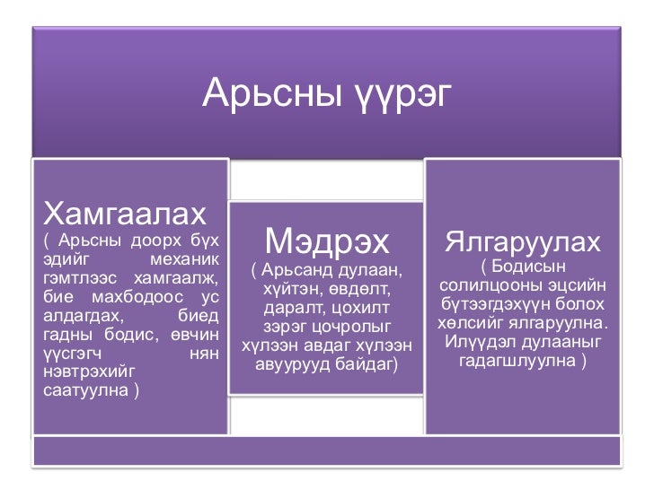 Aris 9
