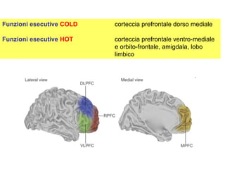 Funzioni esecutive COLD corteccia prefrontale dorso mediale
Funzioni esecutive HOT corteccia prefrontale ventro-mediale
e orbito-frontale, amigdala, lobo
limbico
 
