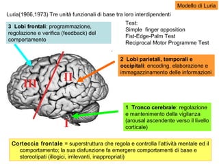 Luria(1966,1973) Tre unità funzionali di base tra loro interdipendenti
Corteccia frontale = superstruttura che regola e controlla l’attività mentale ed il
comportamento; la sua disfunzione fa emergere comportamenti di base e
stereotipati (illogici, irrilevanti, inappropriati)
1 Tronco cerebrale: regolazione
e mantenimento della vigilanza
(arousal ascendente verso il livello
corticale)
3 Lobi frontali: programmazione,
regolazione e verifica (feedback) del
comportamento
2 Lobi parietali, temporali e
occipitali: encoding, elaborazione e
immagazzinamento delle informazioni
Test:
Simple ﬁnger opposition
Fist-Edge-Palm Test
Reciprocal Motor Programme Test
Modello di Luria
 