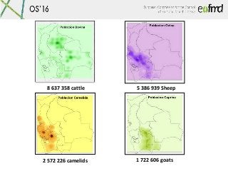 8 637 358 cattle 5 386 939 Sheep
2 572 226 camelids 1 722 606 goats
 