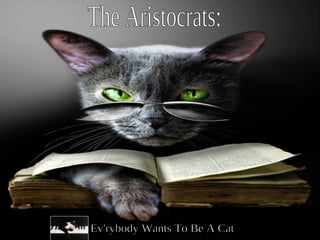 The Aristocrats: Ev'rybody Wants To Be A Cat 
