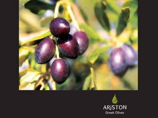 ARiSTON Olives