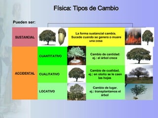 Física: Tipos de Cambio Pueden ser: Cambio de lugar. ej.: transplantamos el árbol  LOCATIVO Cambio de cualidad.  ej.: en otoño se le caen las hojas  CUALITATIVO Cambio de cantidad: ej.: el árbol crece   CUANTITATIVO ACCIDENTAL La forma sustancial cambia.  Sucede cuando se genera o muere una cosa   SUSTANCIAL 