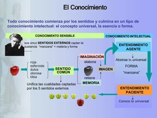 El Conocimiento Todo conocimiento comienza por los sentidos y culmina en un tipo de conocimiento intelectual: el concepto universal, la esencia o forma.  roja esferoide dulce olorosa   tibia ENTENDIMIENTO AGENTE ENTENDIMIENTO PACIENTE MEMORIA IMAGEN SENTIDO  COMÚN Unifica las cualidades captadas por los 5 sentidos externos Conoce lo universal elabora sus cinco  SENTIDOS EXTERNOS  captan la sustancia  “manzana” = materia y forma IMAGINACIÓN CONOCIMIENTO INTELECTUAL CONOCIMIENTO SENSIBLE Abstrae  lo  universal FORMA “ manzana” retiene 