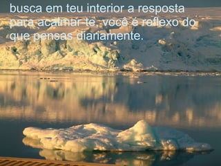 busca em teu interior a resposta para acalmar-te, você é reflexo do que pensas diariamente. 