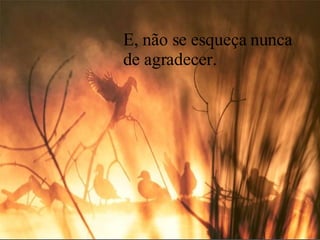 E, não se esqueça nunca de agradecer.  