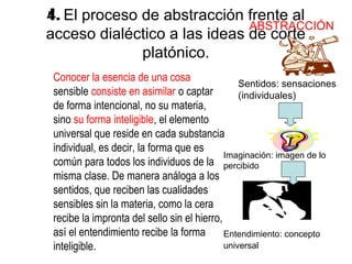 4. El proceso de abstracción frente al
                              ABSTRACCIÓN
acceso dialéctico a las ideas de corte
              platónico.
 Conocer la esencia de una cosa
                                                 Sentidos: sensaciones
 sensible consiste en asimilar o captar          (individuales)
 de forma intencional, no su materia,
 sino su forma inteligible, el elemento
 universal que reside en cada substancia
 individual, es decir, la forma que es
                                             Imaginación: imagen de lo
 común para todos los individuos de la percibido
 misma clase. De manera análoga a los
 sentidos, que reciben las cualidades
 sensibles sin la materia, como la cera
 recibe la impronta del sello sin el hierro,
 así el entendimiento recibe la forma        Entendimiento: concepto
 inteligible.                                universal
 