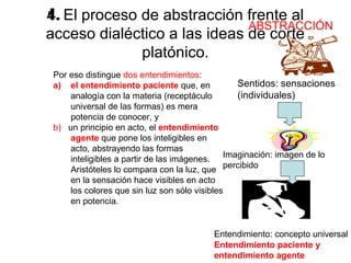 4. El proceso de abstracción frente al
                              ABSTRACCIÓN
acceso dialéctico a las ideas de corte
              platónico.
 Por eso distingue dos entendimientos:
 a) el entendimiento paciente que, en          Sentidos: sensaciones
     analogía con la materia (receptáculo      (individuales)
     universal de las formas) es mera
     potencia de conocer, y
 b) un principio en acto, el entendimiento
     agente que pone los inteligibles en
     acto, abstrayendo las formas
     inteligibles a partir de las imágenes. Imaginación: imagen de lo
     Aristóteles lo compara con la luz, que percibido
     en la sensación hace visibles en acto
     los colores que sin luz son sólo visibles
     en potencia.


                                       Entendimiento: concepto universal .
                                       Entendimiento paciente y
                                       entendimiento agente
 