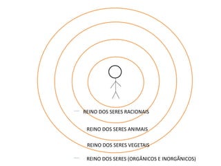 REINO DOS SERES RACIONAIS 
REINO DOS SERES ANIMAIS 
REINO DOS SERES VEGETAIS 
REINO DOS SERES (ORGÂNICOS E INORGÂNICOS) 
 