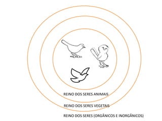 REINO DOS SERES ANIMAIS 
REINO DOS SERES VEGETAIS 
REINO DOS SERES (ORGÂNICOS E INORGÂNICOS) 
 