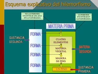Esquema explicativo del hilemorfismo
UN PINO
LO PODEMOS
ENCONTRAR EN
LA NATURALEZA
NO LAS PODEMOS
ENCONTRAR AISLADAS
EN LA NATURALEZA
CUATRO
ELEMENTOS
MATERIA
VEGETAL
MADERA
DE PINO
 