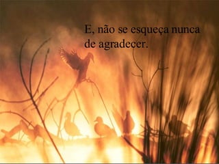 E, não se esqueça nunca de agradecer.  