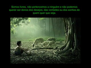 Somos livres, não pertencemos a ninguém e não podemos
querer ser donos dos desejos, das vontades ou dos sonhos de
quem quer que seja.
 