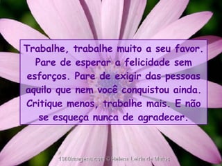 Trabalhe, trabalhe muito a seu favor. Pare de esperar a felicidade sem esforços. Pare de exigir das pessoas aquilo que nem você conquistou ainda. Critique menos, trabalhe mais. E não se esqueça nunca de agradecer. 