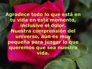 Agradece todo lo que está en tu vida en este momento, inclusive el dolor. Nuestra comprensión del universo, aún es muy pequeña para juzgar lo que queremos que sea nuestra vida. 