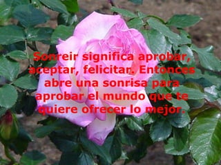 Sonreir significa aprobar, aceptar, felicitar. Entonces abre una sonrisa para aprobar el mundo que te quiere ofrecer lo mejor. 