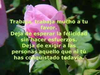 Trabaja, trabaja mucho a tu favor. Deja de esperar la felicidad sin hacer esfuerzos. Deja de exigir a las personas aquello que ni tú has conquistado todavía. 