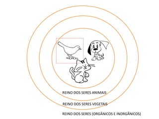 REINO DOS SERES ANIMAIS 
REINO DOS SERES VEGETAIS 
REINO DOS SERES (ORGÂNICOS E INORGÂNICOS) 
 