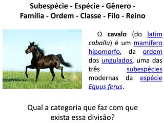Subespécie - Espécie - Gênero - 
Família - Ordem - Classe - Filo - Reino 
O cavalo (do latim 
caballu) é um mamífero 
hipomorfo, da ordem 
dos ungulados, uma das 
três subespécies 
modernas da espécie 
Equus ferus. 
Qual a categoria que faz com que 
exista essa divisão? 
 
