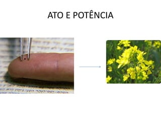 ATO E POTÊNCIA 
 