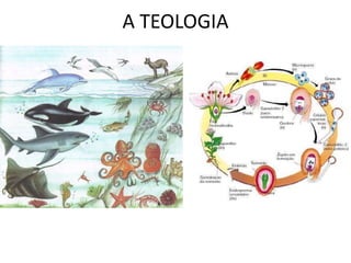 A TEOLOGIA 
 