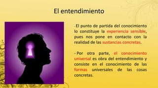 El entendimiento
- El punto de partida del conocimiento
lo constituye la experiencia sensible,
pues nos pone en contacto con la
realidad de las sustancias concretas.
- Por otra parte, el conocimiento
universal es obra del entendimiento y
consiste en el conocimiento de las
formas universales de las cosas
concretas.
 