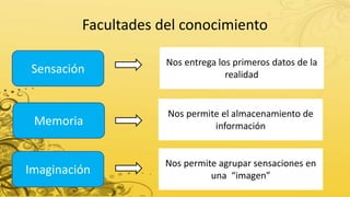 Facultades del conocimiento
Sensación
Memoria
Imaginación
Nos entrega los primeros datos de la
realidad
Nos permite el almacenamiento de
información
Nos permite agrupar sensaciones en
una “imagen”
 