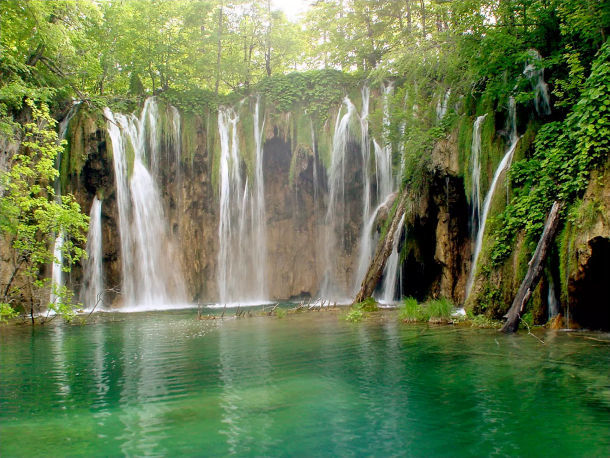 Aristotle and the Art of Software Development