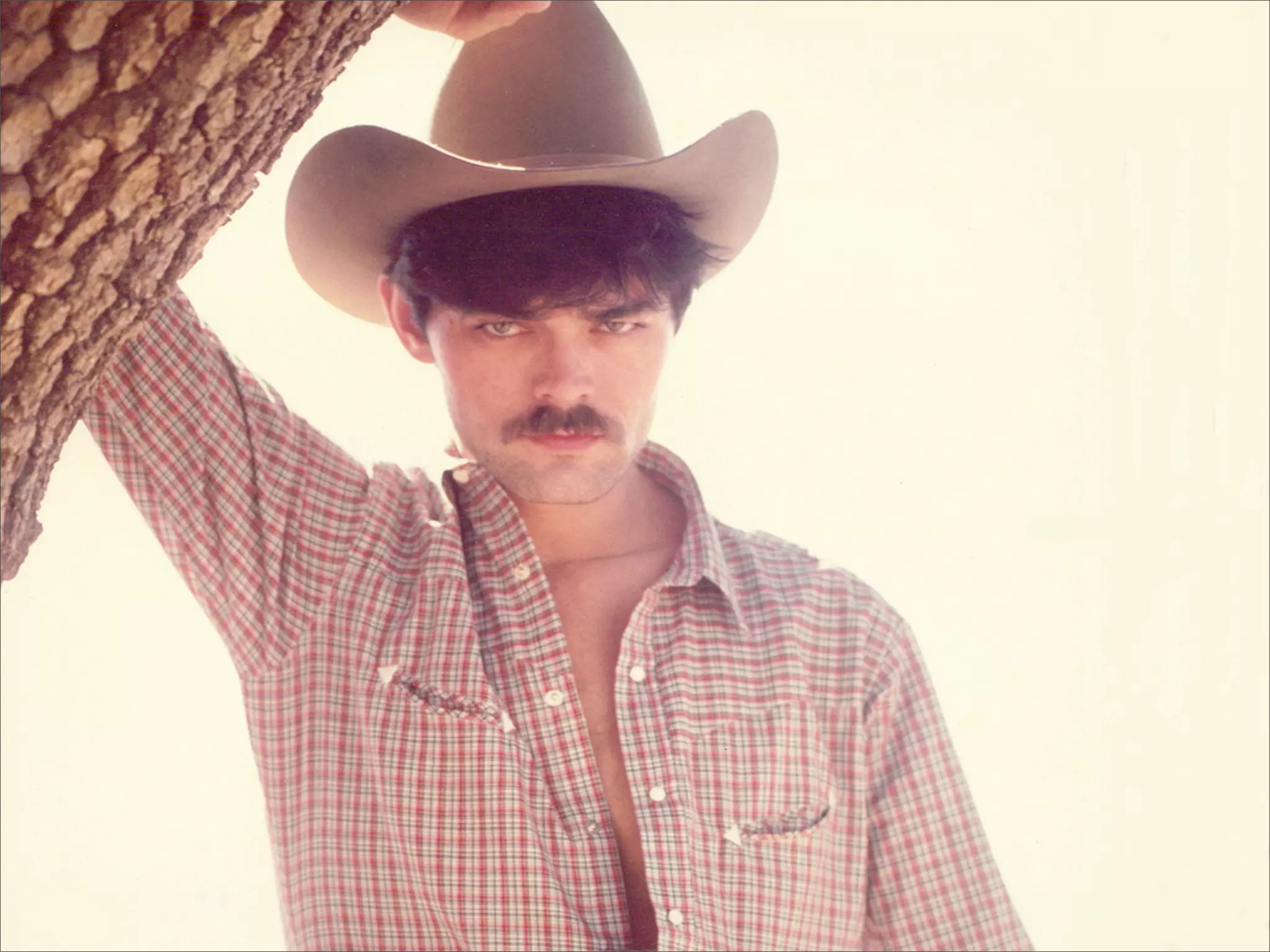 Aristotle and the Art of Software Development