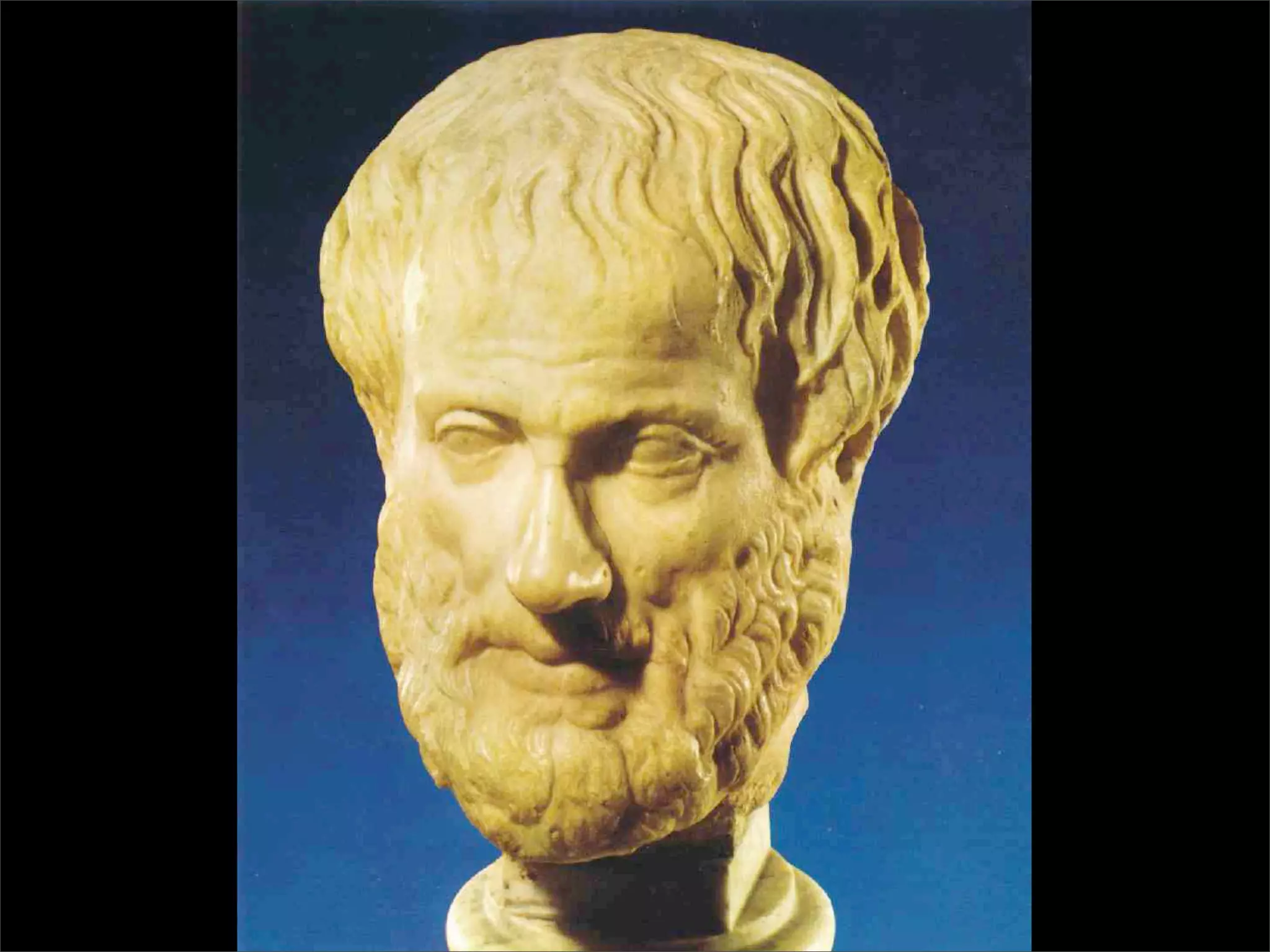 Aristotle and the Art of Software Development