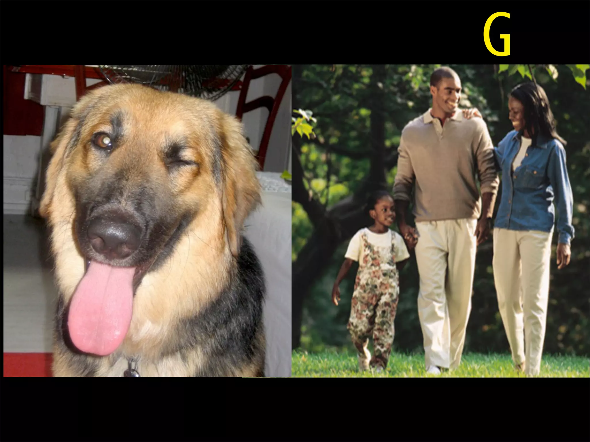 Aristotle and the Art of Software Development