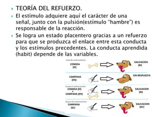    TEORÍA DEL REFUERZO.
   El estímulo adquiere aquí el carácter de una
    señal, junto con la pulsión(estímulo “hambre”) es
    responsable de la reacción.
   Se logra un estado placentero gracias a un refuerzo
    para que se produzca el enlace entre esta conducta
    y los estímulos precedentes. La conducta aprendida
    (habit) depende de las variables.
 