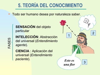 5. TEORÍA DEL CONOCIMIENTO Todo ser humano desea por naturaleza saber. SENSACIÓN  del objeto particular INTELECCIÓN : Abstracción del universal ( Entendimiento agente ). CIENCIA  : Aplicación del universal ( Entendimiento paciente ). FASES 1 Esto es una flor 3 2 