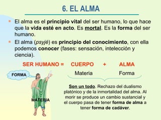 6. EL ALMA El alma es el  principio vital  del ser humano, lo que hace que la  vida esté en acto . Es  mortal . Es la  forma  del ser humano. El alma ( psyjé ) es  principio del conocimiento , con ella podemos  conocer  (fases: sensación, intelección y ciencia). Son un todo . Rechazo del dualismo platónico y de la inmortalidad del alma. Al morir se produce un cambio sustancial y el cuerpo pasa de tener  forma de alma  a tener  forma de   cadáver . MATERIA FORMA SER HUMANO =  CUERPO  +  ALMA Materia Forma 