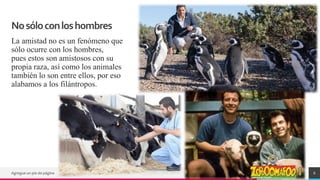 TREY
research
Nosóloconloshombres
La amistad no es un fenómeno que
sólo ocurre con los hombres,
pues estos son amistosos con su
propia raza, así como los animales
también lo son entre ellos, por eso
alabamos a los filántropos.
Agregue un pie de página 6
 