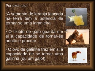 Por exemplo:
-A semente de laranja lançada
na terra tem a potência de
tornar-se uma laranjeira.
- O filhote de gato guarda em
si a capacidade de tornar-se
adulto e procriar.
- O ovo de galinha traz em si a
capacidade de se tornar uma
galinha (ou um galo!).
 