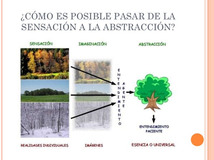 Aristóteles.pw