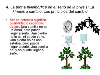 4. La teoría  hylemórfica en el seno de la  phýsis :  La  kínesis  o cambio. Los principios del cambio Ser en potencia significa posibilidad o capacidad de ser . Una semilla no es un árbol, pero puede llegar a serlo. Una piedra no lo es, ni puede serlo. Una piedra no es una estatua, pero puede llegar a serlo. Una semilla no, y no puede llegar a serlo. 